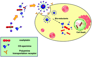 Graphical abstract: An oxaliplatin(iv) prodrug-based supramolecular self-delivery nanocarrier for targeted colorectal cancer treatment