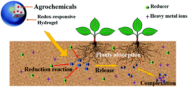 Graphical abstract: Controlled release of agrochemicals and heavy metal ion capture dual-functional redox-responsive hydrogel for soil remediation
