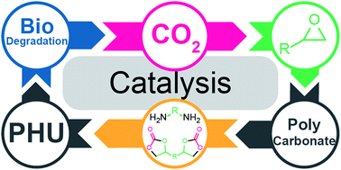 Graphical abstract: En route to CO2-containing renewable materials: catalytic synthesis of polycarbonates and non-isocyanate polyhydroxyurethanes derived from cyclic carbonates
