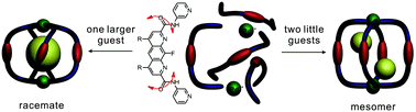 Graphical abstract: Helicity adaptation within a quadruply stranded helicate by encapsulation