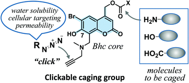 Graphical abstract: A clickable caging group as a new platform for modular caged compounds with improved photochemical properties