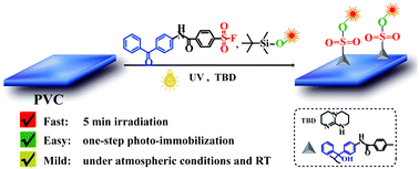 Graphical abstract: A rapid one-step surface functionalization of polyvinyl chloride by combining click sulfur(vi)-fluoride exchange with benzophenone photochemistry
