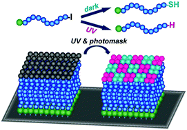 Graphical abstract: Photo-selective chain end transformation of polyacrylate-iodide using cysteamine and its application to facile single-step preparation of patterned polymer brushes