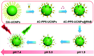Graphical abstract: Facile surface functionalization of upconversion nanoparticles with phosphoryl pillar[5]arenes for controlled cargo release and cell imaging