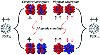 Graphical abstract: Binding for endohedral-metallofullerene superatoms induced by magnetic coupling