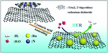 Graphical abstract: An ultrafine ruthenium nanocrystal with extremely high activity for the hydrogen evolution reaction in both acidic and alkaline media