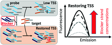 Graphical abstract: Improving NanoCluster Beacon performance by blocking the unlabeled NC probes