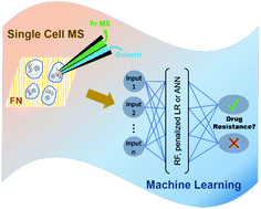 Graphical abstract: Towards rapid prediction of drug-resistant cancer cell phenotypes: single cell mass spectrometry combined with machine learning