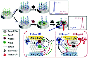 Graphical abstract: An ultratrace assay of arsenite based on the synergistic quenching effect of Ru(bpy)32+ and arsenite on the electrochemiluminescence of Au–g-C3N4 nanosheets