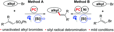 Graphical abstract: Alkenylation of unactivated alkyl bromides through visible light photocatalysis