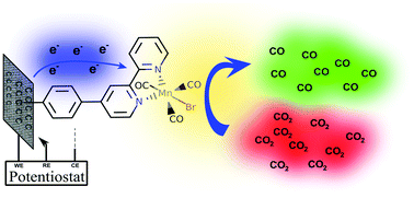 Graphical abstract: Electrochemical CO2 reduction in water at carbon cloth electrodes functionalized with a fac-Mn(apbpy)(CO)3Br complex