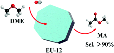 Graphical abstract: A brand new zeolite catalyst for carbonylation reaction