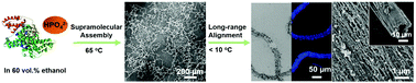 Graphical abstract: Sheet-like and tubular aggregates of protein nanofibril–phosphate hybrids