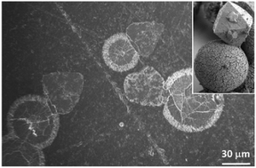 Graphical abstract: New mechanism for the nucleation and growth of large zeolite X crystals in the presence of triethanolamine