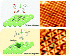 Graphical abstract: 2-D assembly of supramolecular nanoarchitectures on Mg(0001)