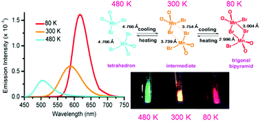 Graphical abstract: Achievement of ligand-field induced thermochromic luminescence via two-step single-crystal to single-crystal transformations