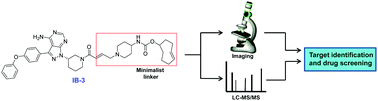 Graphical abstract: Minimalist linkers suitable for irreversible inhibitors in simultaneous proteome profiling, live-cell imaging and drug screening