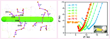 Graphical abstract: High proton conduction in an excellent water-stable gadolinium metal–organic framework