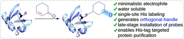 Graphical abstract: Single-site labeling of histidine in proteins, on-demand reversibility, and traceless metal-free protein purification