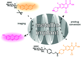 Graphical abstract: Innate glycosidic activity in metallic implants for localized synthesis of antibacterial drugs