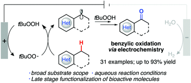Graphical abstract: Electrochemical benzylic oxidation of C–H bonds