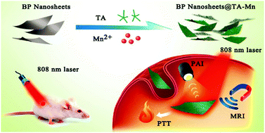 Graphical abstract: Manganese-phenolic network-coated black phosphorus nanosheets for theranostics combining magnetic resonance/photoacoustic dual-modal imaging and photothermal therapy