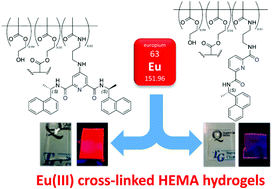 Graphical abstract: Luminescent lanthanide (Eu(iii)) cross-linked supramolecular metallo co-polymeric hydrogels: the effect of ligand symmetry
