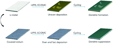 Graphical abstract: Promoting a highly stable lithium metal anode by superficial alloying with an ultrathin indium sheet