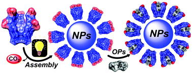 Graphical abstract: Photo-induced formation of organic nanoparticles possessing enhanced affinities for complexing nerve agent mimics