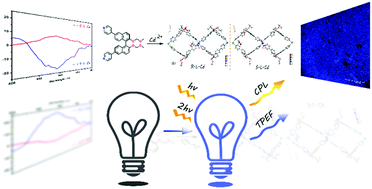 Graphical abstract: Facile synthesis of homochiral compounds integrating circularly polarized luminescence and two-photon excited fluorescence