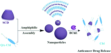 Graphical abstract: Enzyme-responsive sulfatocyclodextrin/prodrug supramolecular assembly for controlled release of anti-cancer drug chlorambucil