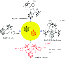 Graphical abstract: Iridium-induced regioselective B–H and C–H activations at azo-substituted m-carboranes: facile access to polynuclear complexes