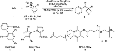 Graphical abstract: On water N-arylation of oxetanylamines for the preparation of N-aryl-oxetanylamines; potentially useful aryl-amide isosteres