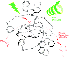 Graphical abstract: Chiroptical and catalytic properties of doubly binaphthyl-strapped chiral porphyrins