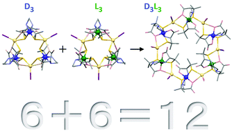 Graphical abstract: Conversion of 12-membered d3- and l3-CoIII3CdII3 metallorings into a 24-membered d3l3-CoIII6CdII6 metalloring