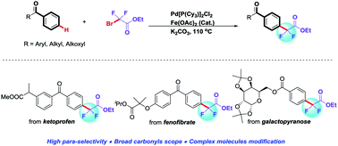 Graphical abstract: Pd-Catalyzed para-selective C–H difluoromethylation of aromatic carbonyls