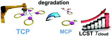 Graphical abstract: A degradable low molecular weight monomer system with lower critical solution temperature behaviour in water