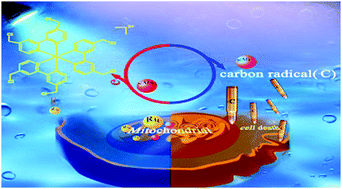 Graphical abstract: Mitochondria targeted and NADH triggered photodynamic activity of chloromethyl modified Ru(ii) complexes under hypoxic conditions