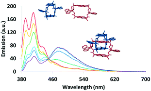 Graphical abstract: Elucidation of naphthalene diimide metallomacrocycles and catenanes by solvent dependent excimer and exciplex emission