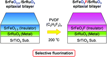 Graphical abstract: Selective fluorination of perovskite iron oxide/ruthenium oxide heterostructures via a topotactic reaction