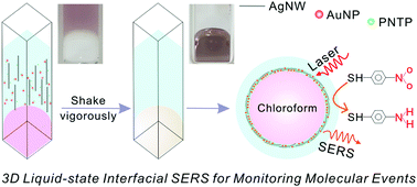 Graphical abstract: Halide-assisted activation of atomic hydrogen for photoreduction on two-liquid interfacial plasmonic arrays