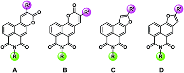 Graphical abstract: Versatile fluorophores for bioimaging applications: π-expanded naphthalimide derivatives with skeletal and appendage diversity