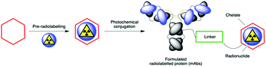 Graphical abstract: Photoactive chelates for radiolabelling proteins