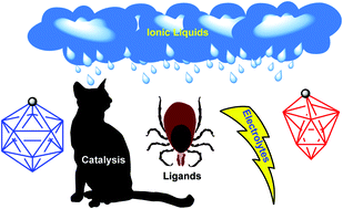 Graphical abstract: Teaching an old dog new tricks: new directions in fundamental and applied closo-carborane anion chemistry