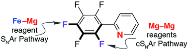 Graphical abstract: Unravelling nucleophilic aromatic substitution pathways with bimetallic nucleophiles