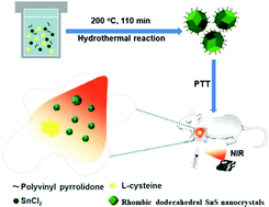 Graphical abstract: Hydrothermal synthesis of novel rhombic dodecahedral SnS nanocrystals for highly efficient photothermal therapy