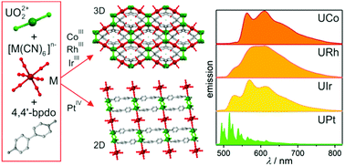 Graphical abstract: Multi-colour uranyl emission efficiently tuned by hexacyanidometallates within hybrid coordination frameworks