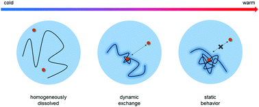 Graphical abstract: Nanoscopic hydrophilic/hydrophilic phase-separation well below the LCST of polyphosphoesters