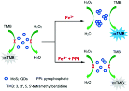 Graphical abstract: Aggregation/dispersion-mediated peroxidase-like activity of MoS2 quantum dots for colorimetric pyrophosphate detection