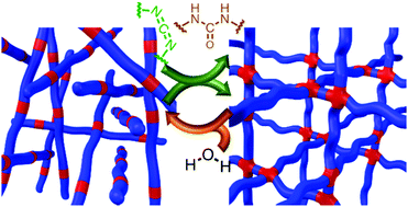 Graphical abstract: Chemically fueled covalent crosslinking of polymer materials